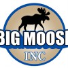 Big Moose Pressure Cleaning