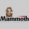 Mammoth Cleaners