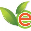 Environmental Carpet & Air Care