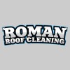 Roman Roof Washing