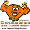 Citrusolution