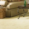 Seasons Carpet Cleaning