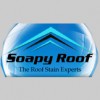 Soapy Roof