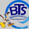 Bts Cleaning Service