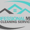 Professional Maid Cleaning Services