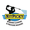 NitPicky Cleaning