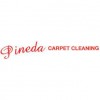 Pineda Carpet Cleaning