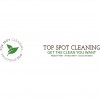 Top Spot Cleaning