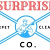 Surprise Carpet Cleaning