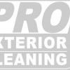 Pro Exterior Cleaning