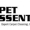Carpet Essentials