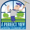 A Perfect View Window Cleaning Service