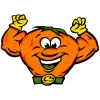 CitruSolution