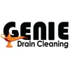 Genie Drain Cleaning