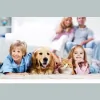 ANS Carpet Cleaning