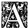 Artisan Rug Care
