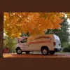 Fiber Brite Carpet & Upholstry Cleaning