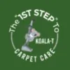 1st Step Carpet Care