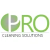 Pro Cleaning Solutions