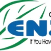 Enzo's Cleaning Solutions