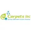 Carpets Inc