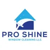 Pro Shine Window Cleaning