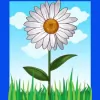 Daisy Mae Cleaning & Services