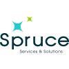 Spruce Pro Pressure Washing