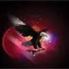 BlackHawk Janitorial Services