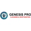Genesis Pro Carpet Care