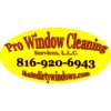 Pro Window Cleaning