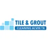 Tile & Grout Cleaning Alvin TX
