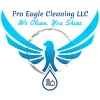 Pro Eagle Cleaning