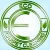 Eco Carpet Cleaning