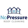 No Pressure Roof Cleaning