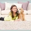 Warren Carpet Cleaning