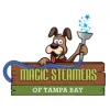 Magic Steamers