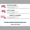 Carpet Cleaning The Best