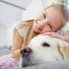 iSteam Carpet Care