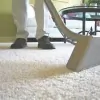 Advanced Carpet Cleaners