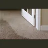 Premier Carpet Care