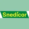 Snedicor's Cleaners