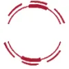 Network Carpet Services