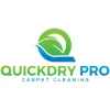 QuickDry Pro