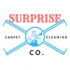 Surprise Carpet Cleaning Co.