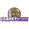 Carpet Recovery