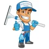 Windows Cleaning Services