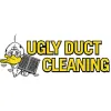 Ugly Duct Cleaning