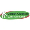 TX The Woodlands Carpet Cleaning