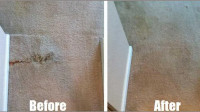 Carpet Repair in South Florida